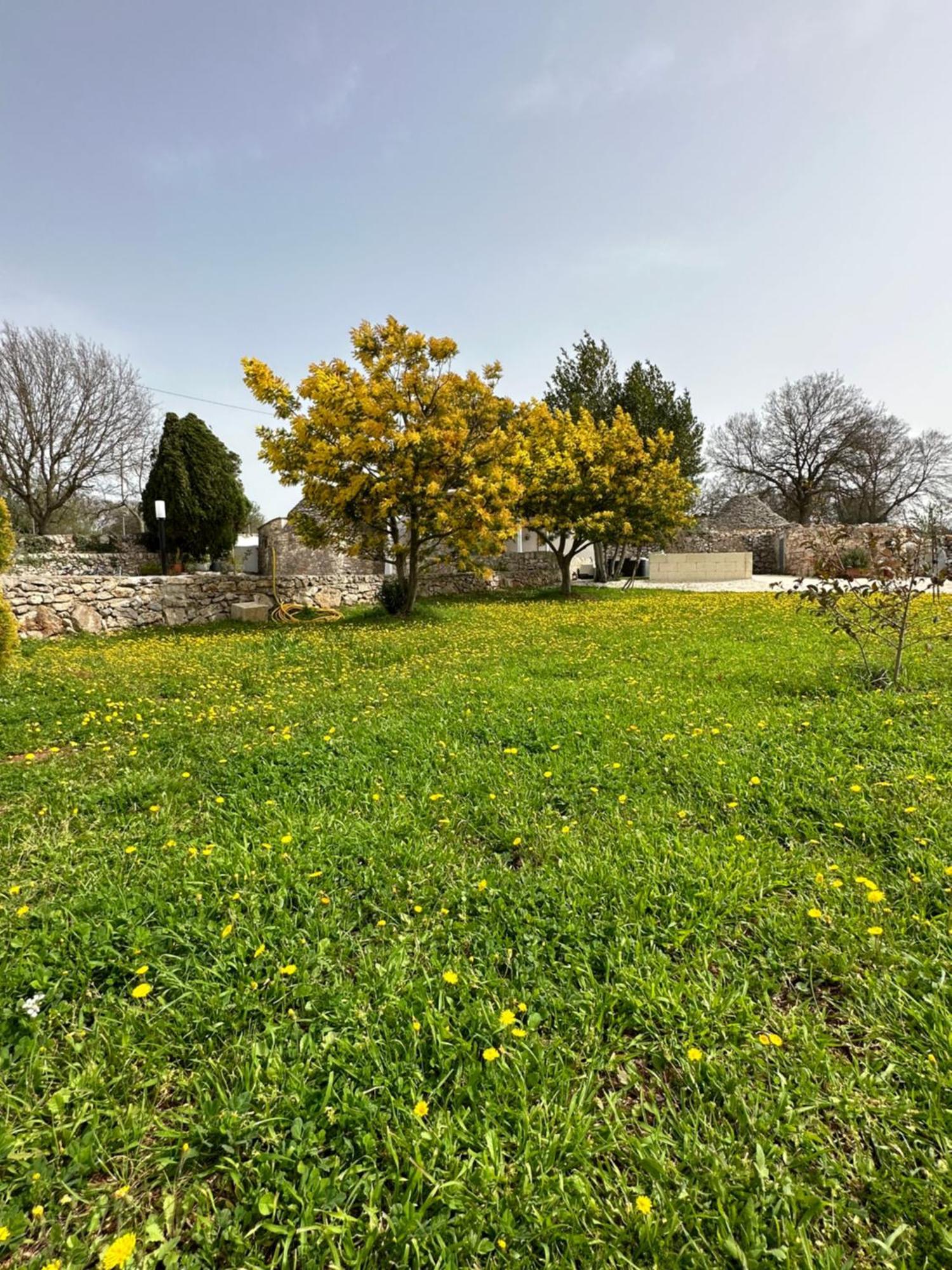 Villa Trulli In Contrada Noci Exterior foto